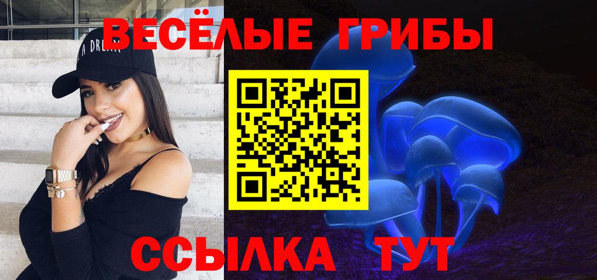 Глазов  Псилоцибиновые грибы прущие грибы  Вход с VPN 