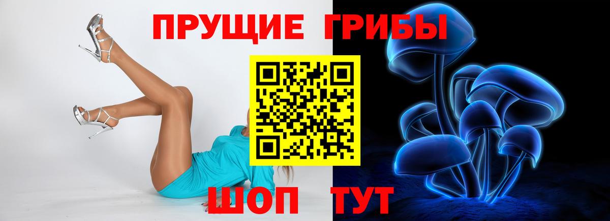 Псилоцибиновые грибы Cubensis Глазов
